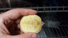 20170207_093749.jpg