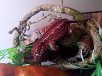 20170606_160331.jpg