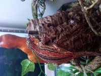20170606_160922.jpg