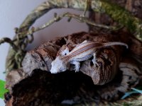 20170606_170727.jpg