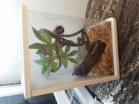 20170606_164254.jpg