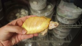 20170610_212616.jpg