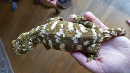 20170614_175345.jpg