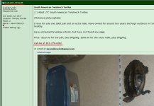 Untitled-1 copy.jpg