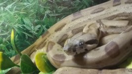 20170430_212758.jpg