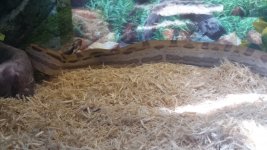 20170507_120238.jpg