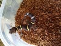 20170510_085925.jpg