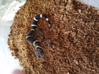 20170510_085831.jpg