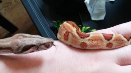 20170524_114730.jpg