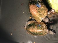 IMG_0012.jpg