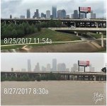harvey01.jpg