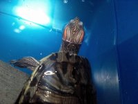 IMG_20170827_213156.jpg
