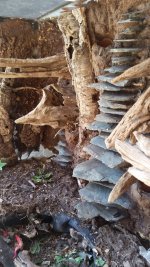 20170711_083214.jpg