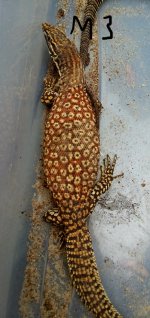 20171001_215902.jpg