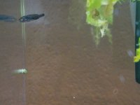 20170613_225242.jpg
