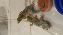 20170630_064757.jpg