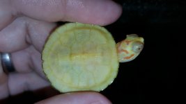 20170710_105213.jpg