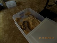 DSCN0870.jpg