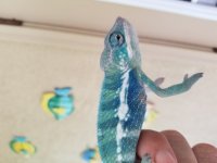 20170819_110139.jpg