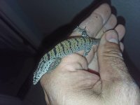 20171106_163612.jpg