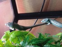 20180603_161125.jpg