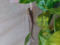 20180603_155806.jpg