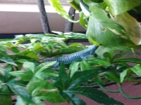 20180603_161054.jpg
