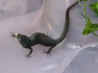 20180603_160834.jpg