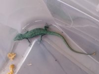 20180603_160849.jpg