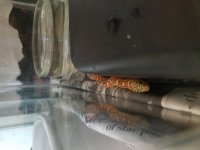 20180506_140425.jpg