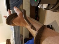 20180428_202453.jpg