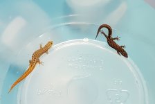 20180609_212015.jpg