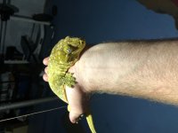 Leachie 3.jpg