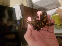 20180913_134245.jpg