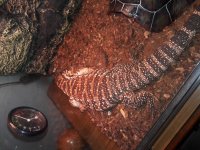 20180506_134736.jpg