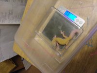 0902180127.jpg
