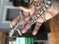 8B3CC7B4-BD10-4987-B187-FD3D3B7AA3D2.jpg