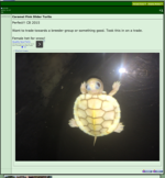 pic 3.png
