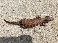 20180625_101541.jpg