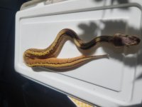 20180707_100454.jpg