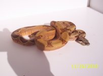 100_0303.jpg