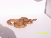 100_0305.jpg