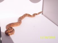 100_0308.jpg