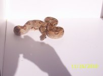 100_0301.jpg