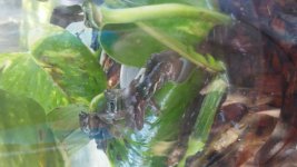 20180806_124735.jpg