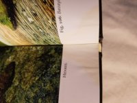 20180909_162234.jpg
