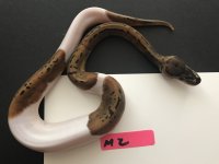 image3.jpg