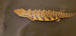 20180807_163053.jpg