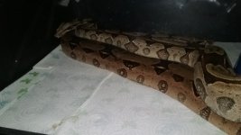 20180227_183638.jpg