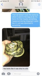 cheat2.jpg